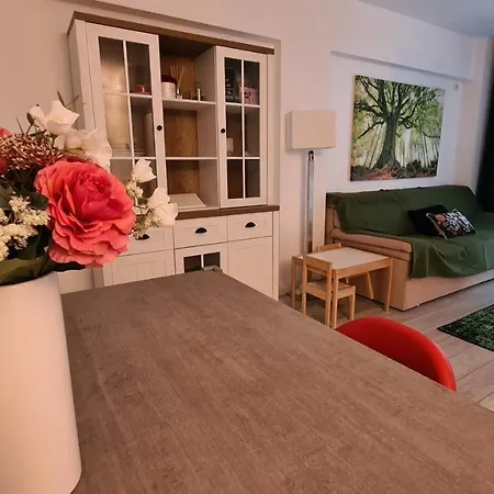 Zen Garden Apartment Bucharest