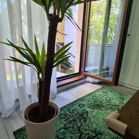 Zen Garden ブカレスト