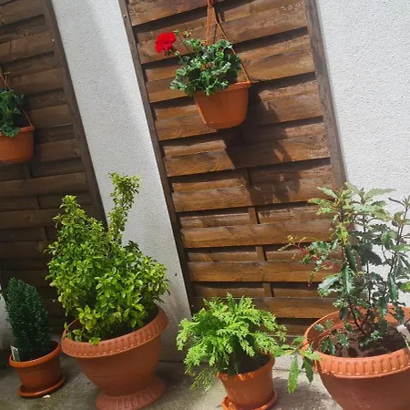 Zen Garden Apartment Bucharest
