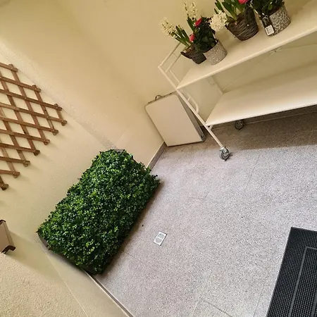 Zen Garden Apartment