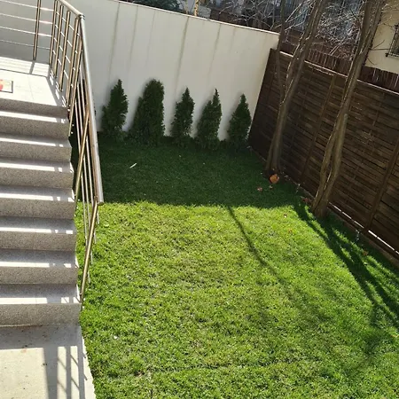 Zen Garden