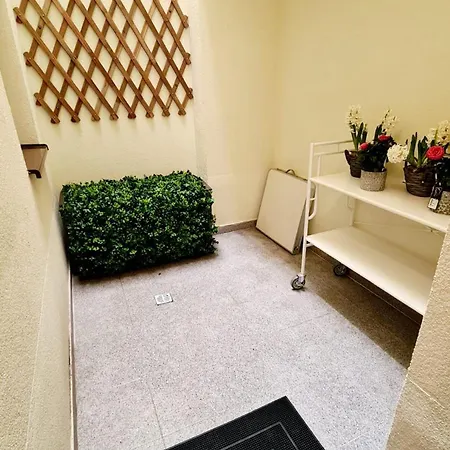 Zen Garden Bukarest